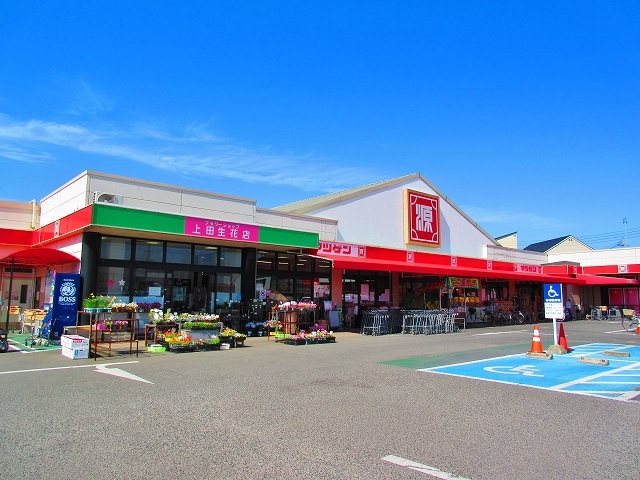 フローレス・ハタ スーパー
