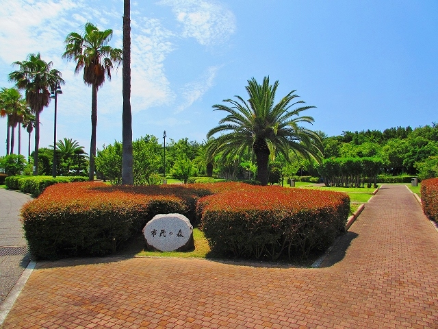 エリカⅡ 公園
