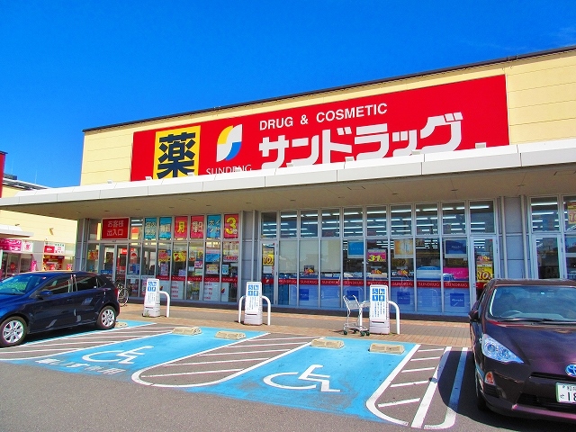 アヴニールHIKO ドラッグストア