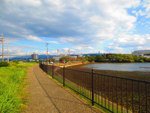 ヴィラプルメリア  公園
