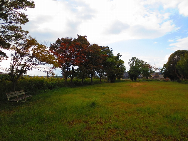 ノイハウスZ 公園
