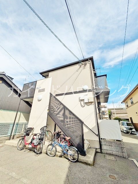 フラットコート 外観
