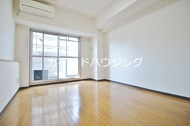 ステラ その他