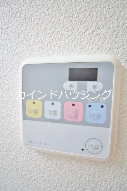 ステラ その他