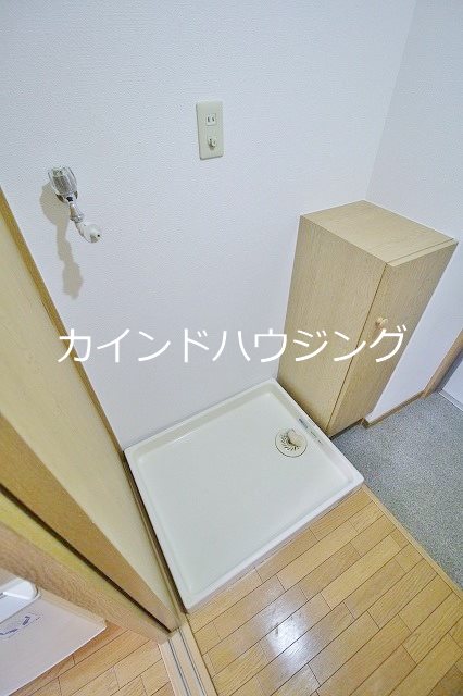 ステラ その他
