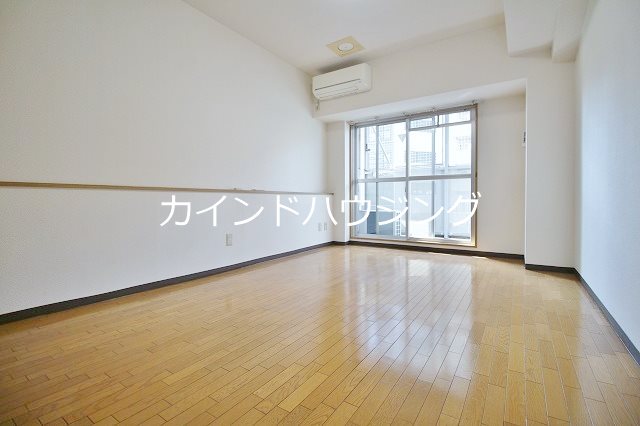 ステラ その他