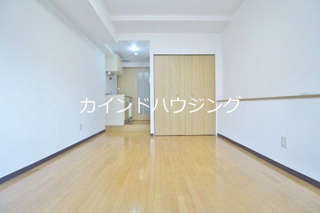 ステラ その他