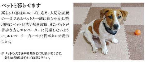 メインステージ千住中居町 その他