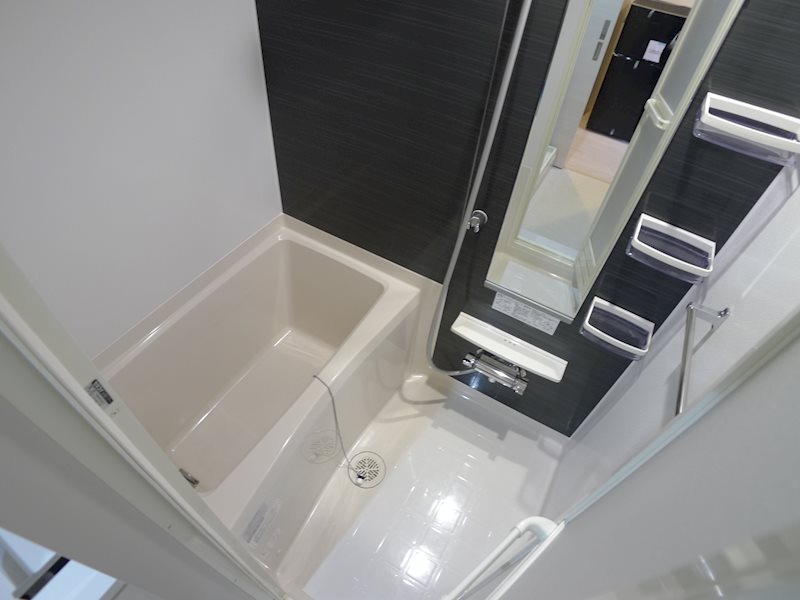 アンリ・ポアンカレ 風呂画像