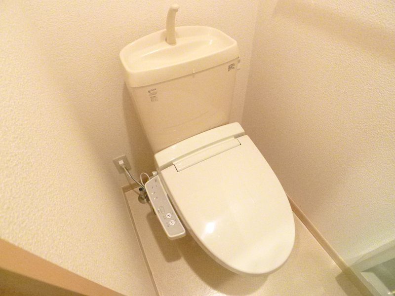 プリムローズ その他1