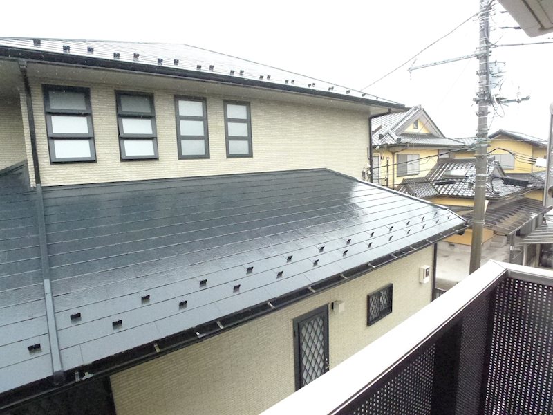プリムローズ その他6