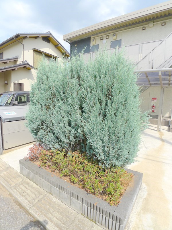 シャルル・エルミート その他11