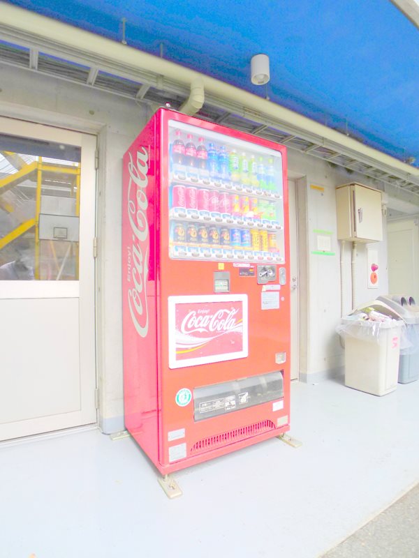 コートハウス・ニュートン その他11