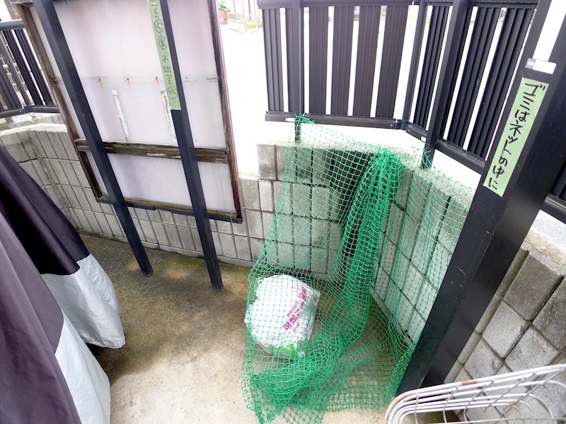 ソフィア河島 その他14