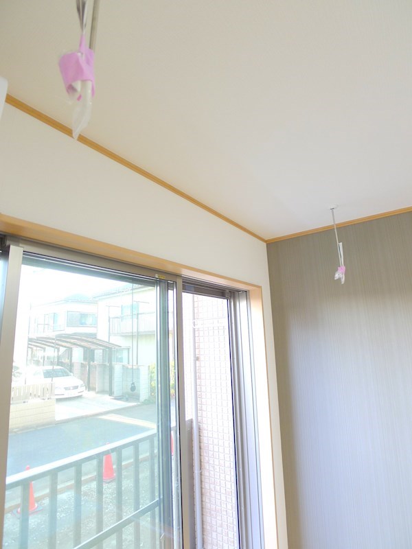 Lahaina初石 その他15