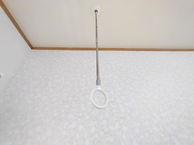 Lahaina初石 その他21