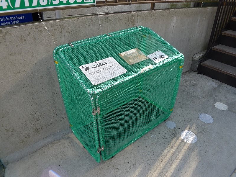 ハイムドルフィン その他6