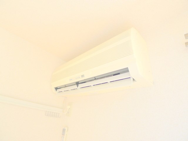 クレマチス その他6