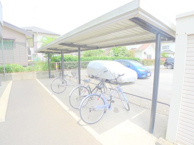 クレマチス その他12