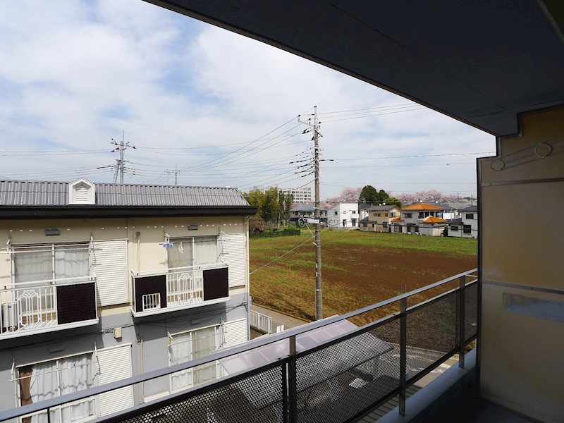 コートハウス・ニュートン その他7