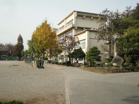 アーバンヒル新柏 周辺画像6