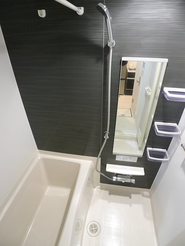 アンリ・ポアンカレ 風呂画像