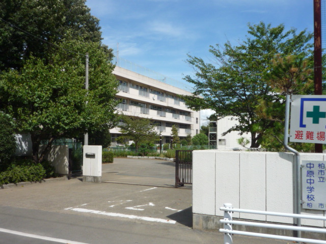 ツリーベル 周辺画像6