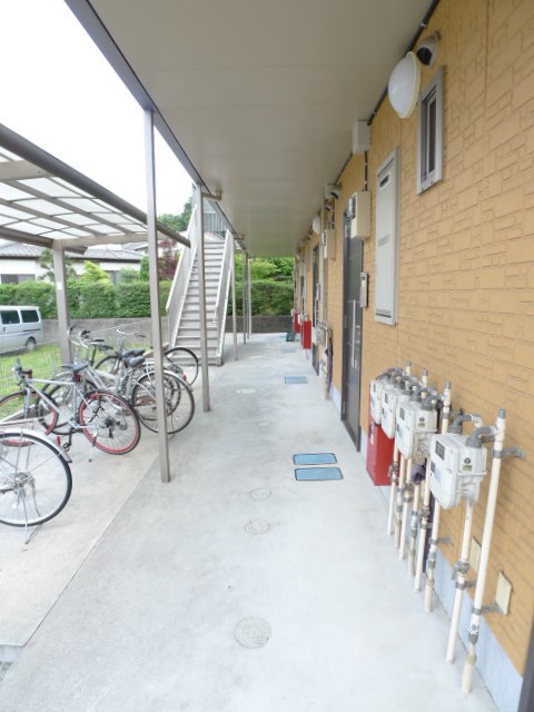 プリムローズ その他8