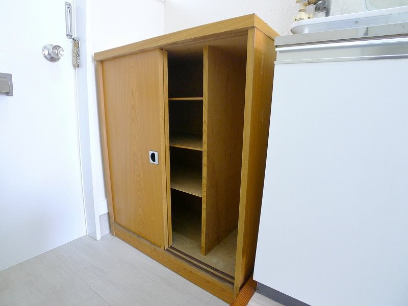 ハイムドルフィン  その他10