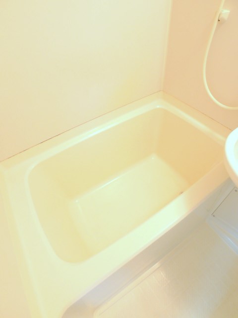 ハイラーク東大崎B 風呂画像