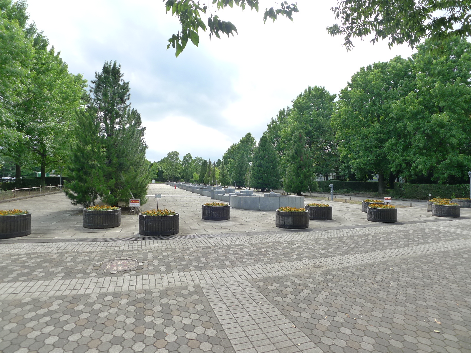 コニフェールⅠ 周辺画像5