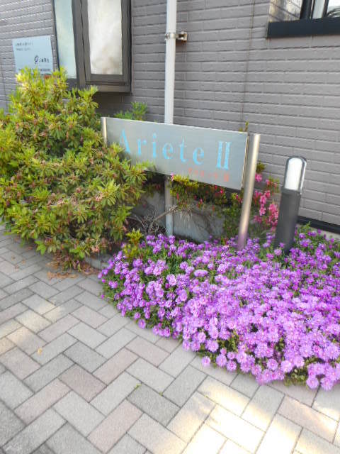 アリエーテⅡ その他6