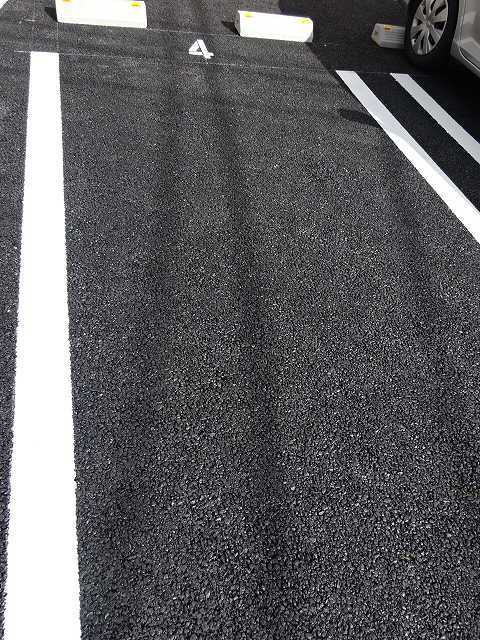 メゾン・プラシードⅡ その他7