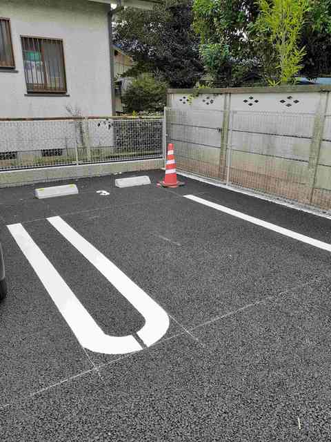 フランジパニ その他7