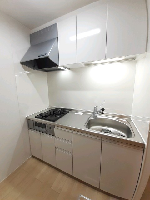 フランジパニ キッチン