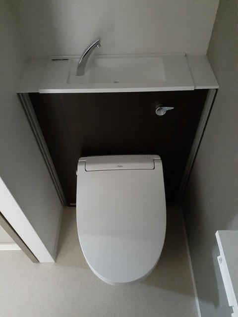 ルピナス その他3