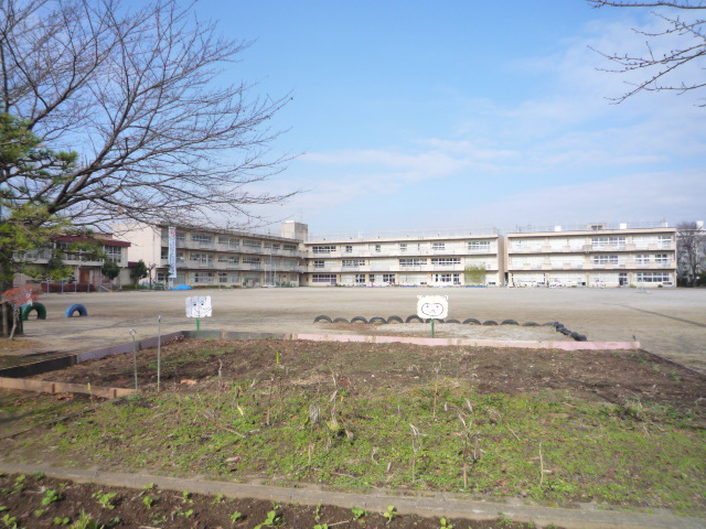 パークサイド若松Ａ棟 周辺画像5