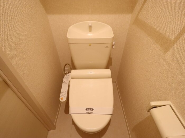 セジュールチェスナットB その他2