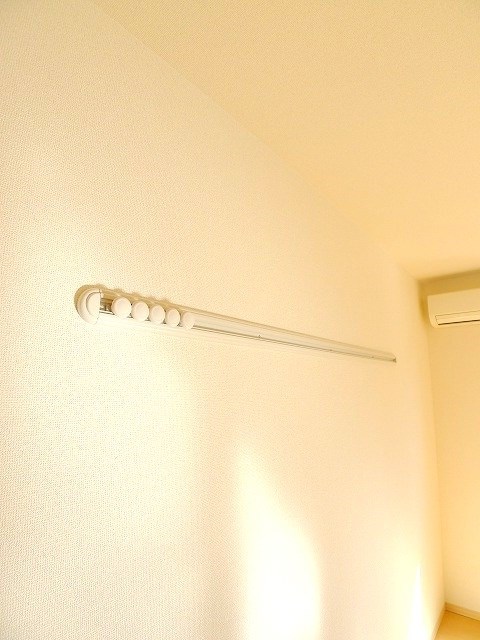 アピテプレミール その他10
