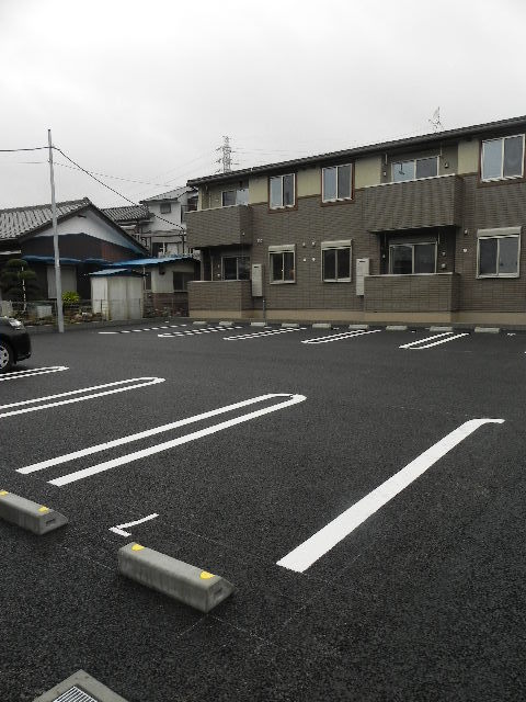 クレマチス　Ｂ その他5