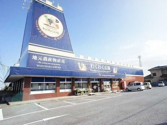 クレマチス　Ｂ その他外観6