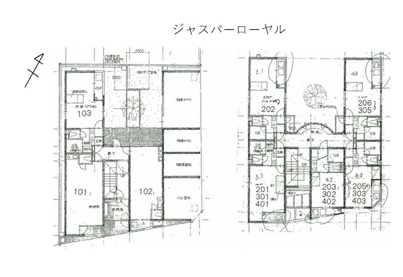 ジャスパーローヤル その他