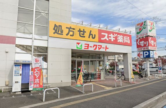 ランドガーデン ドラッグストア