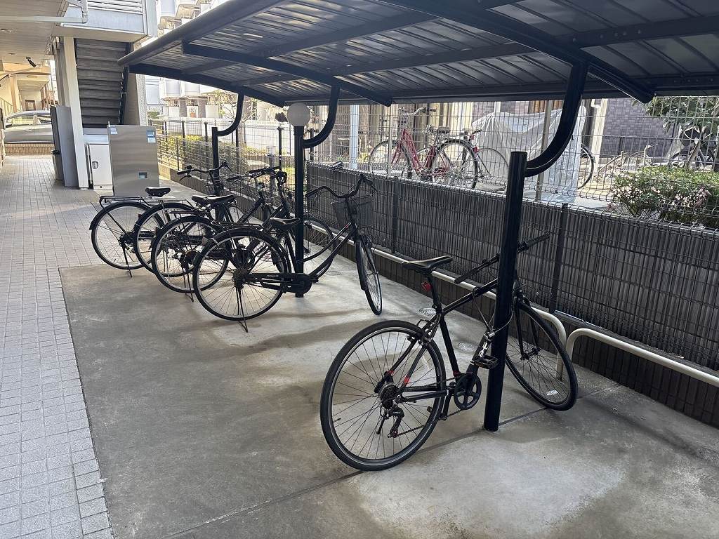 レオネクストボンボネーラ その他
