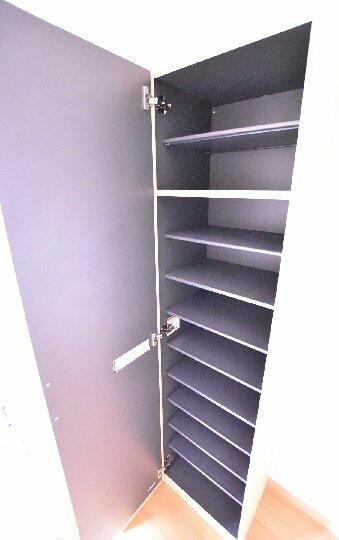 フラバンジェノール 収納