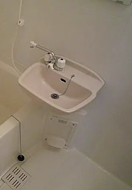 フラバンジェノール 洗面所