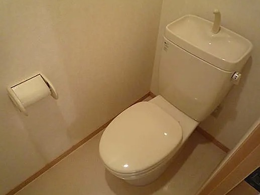 フラバンジェノール トイレ