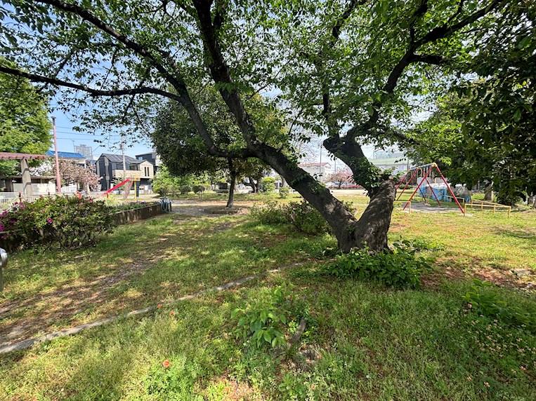 シャロームＫ 公園