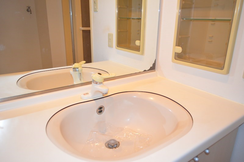 ROYAL RAISIN その他2