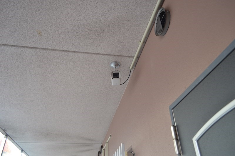 ROYAL RAISIN その他10